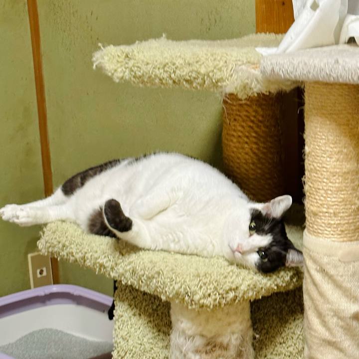 E4ffdf53 75ff 4e3c 920a a3f0435a250a 1669859194146