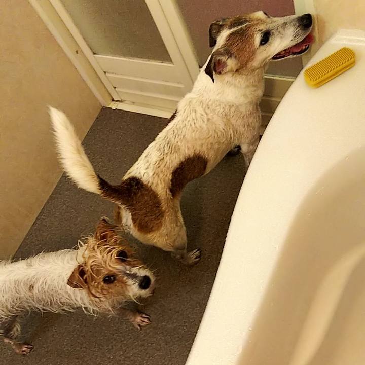 E4ffee61 abac 48f8 8046 fa777dc8cdfd 1582463352315