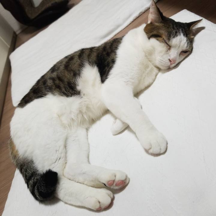 E5000f29 6fee 42b0 afc3 a32f6423074b 1587160359129