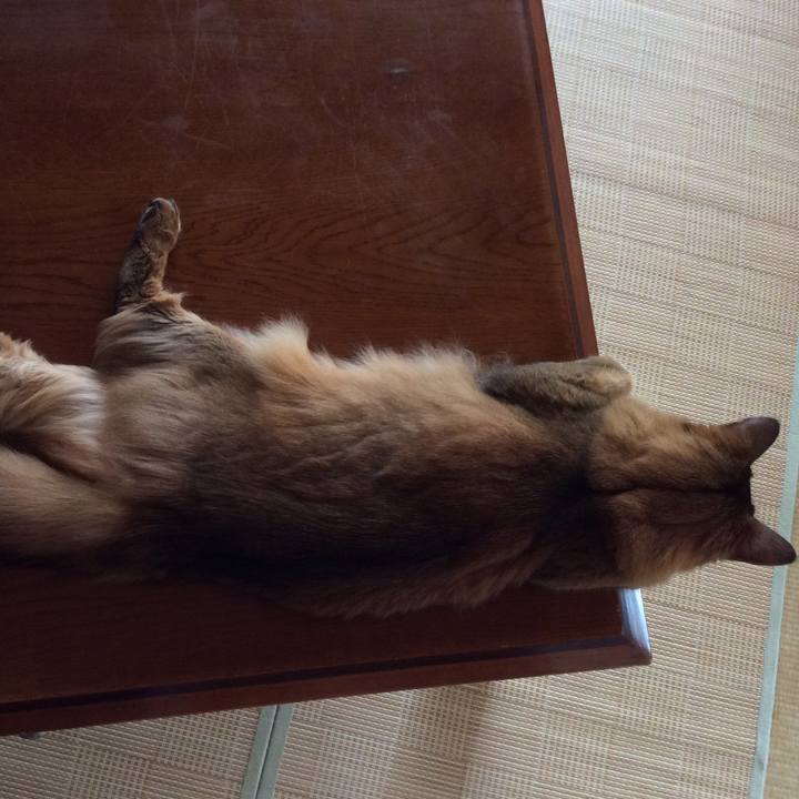 E50012ee 7821 42bc 8423 482b5aa43f21 1625524183411