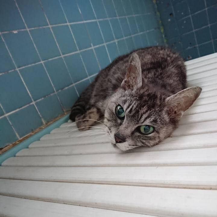 E500387b 4379 43f4 815f b737830847d2 1595102826531