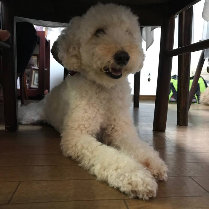 E5004108 04e1 44c0 9d30 1c8fb72cb4c0 1565918148313