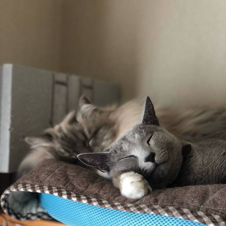 E5006a9b 2672 4ff7 bf98 5952463e2f10 1724333401047