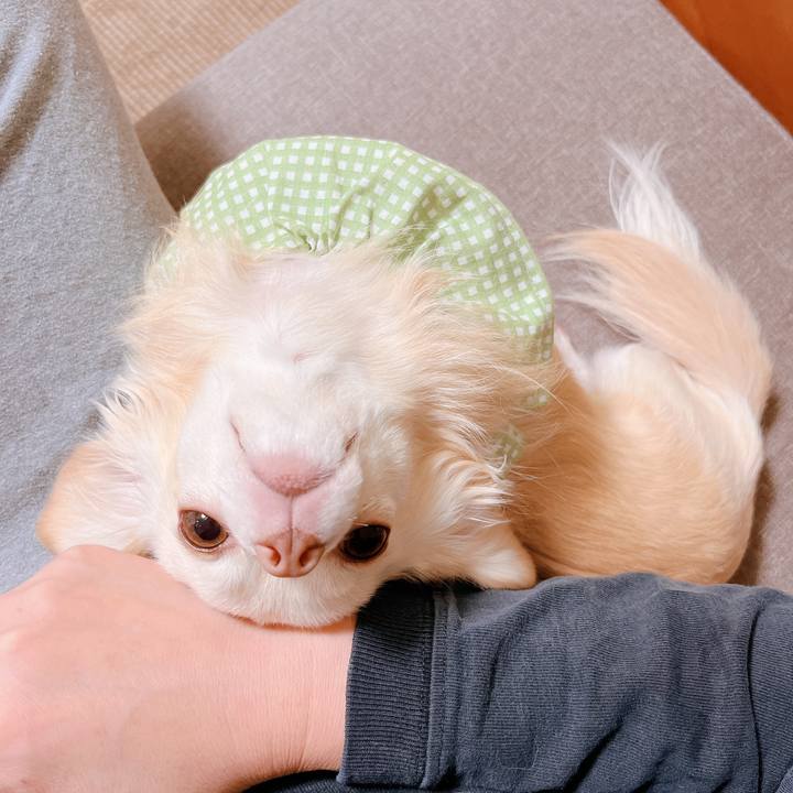 E5007d55 269b 4f7c 8868 1fd94e2b5dc3 1668082667551