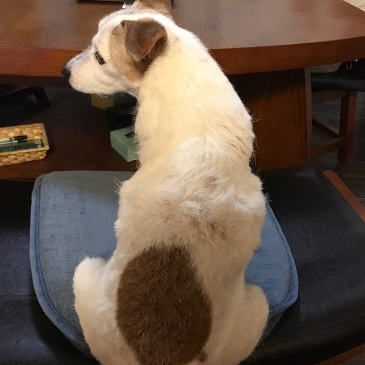 E5007df9 2162 41e8 967e c4c4ac4506e0 1528718043517