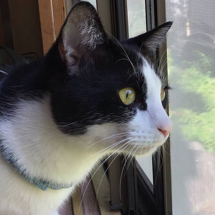 E50088d4 f697 4e1e ab7e 96ccbe8abd47 1665892914633