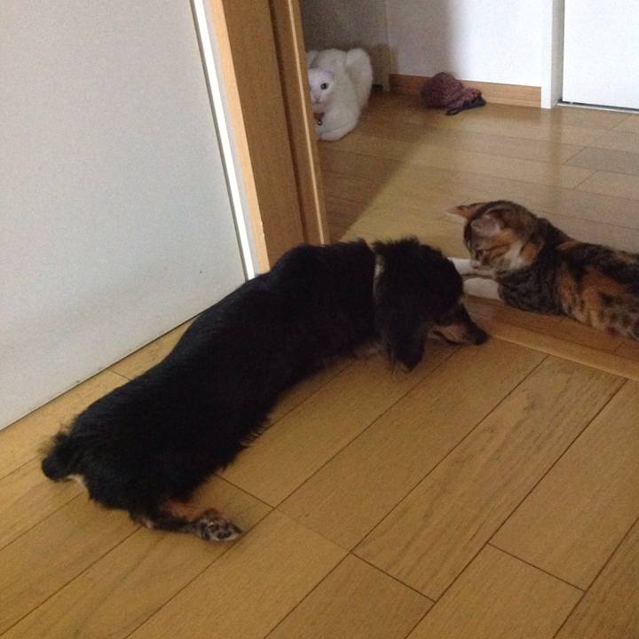 E500a273 fbec 4d63 8f16 99173ab8dae3 1630320938800