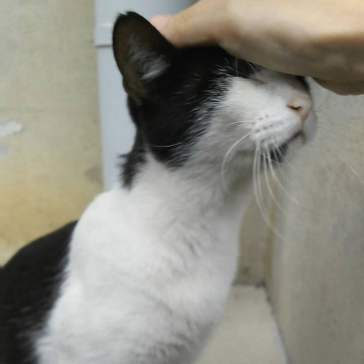 E500e39e 0d15 4076 b89a cad7b982a0ba 1538747327573