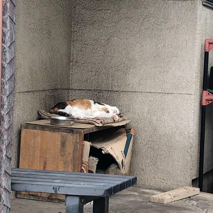 E500e539 1ab5 47f1 9c69 e22bacabbf5f 1599966920192