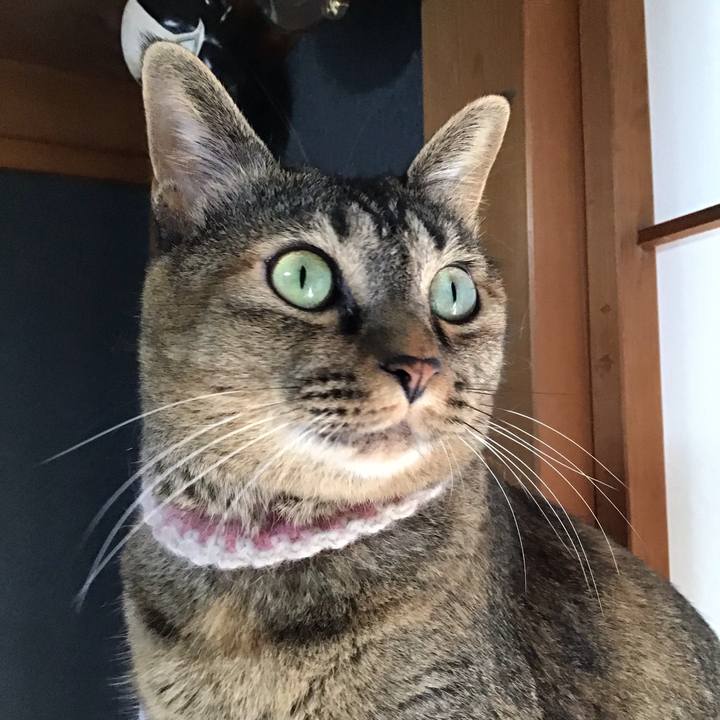 E500fb0c ac98 411c b50b cf0ce9cb9e90 1662889541082