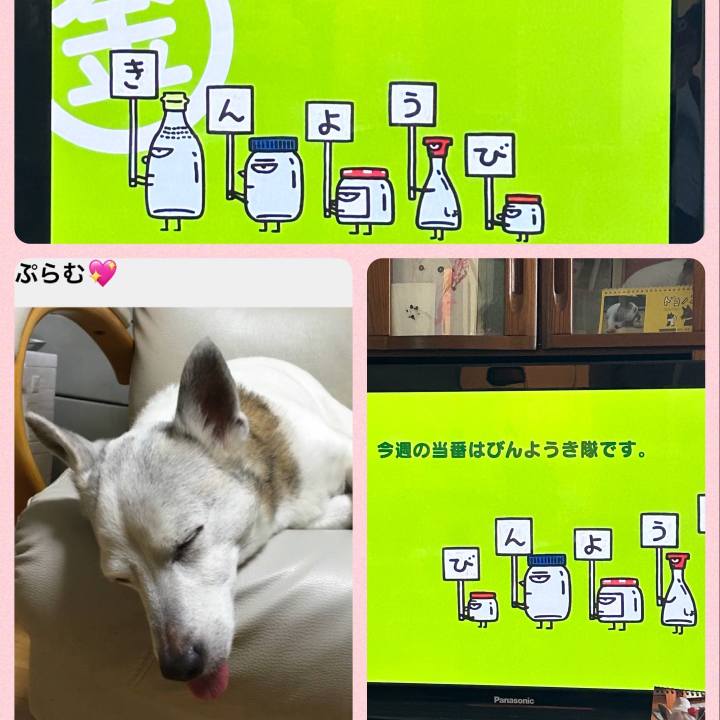 E5010118 ed3d 4286 b86a c7145e1fad7c 1684447426105