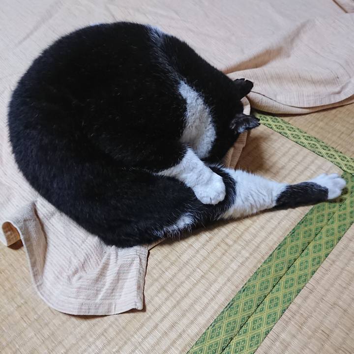 E5011442 e490 46e0 82ba ebfe64d8b052 1602114841058