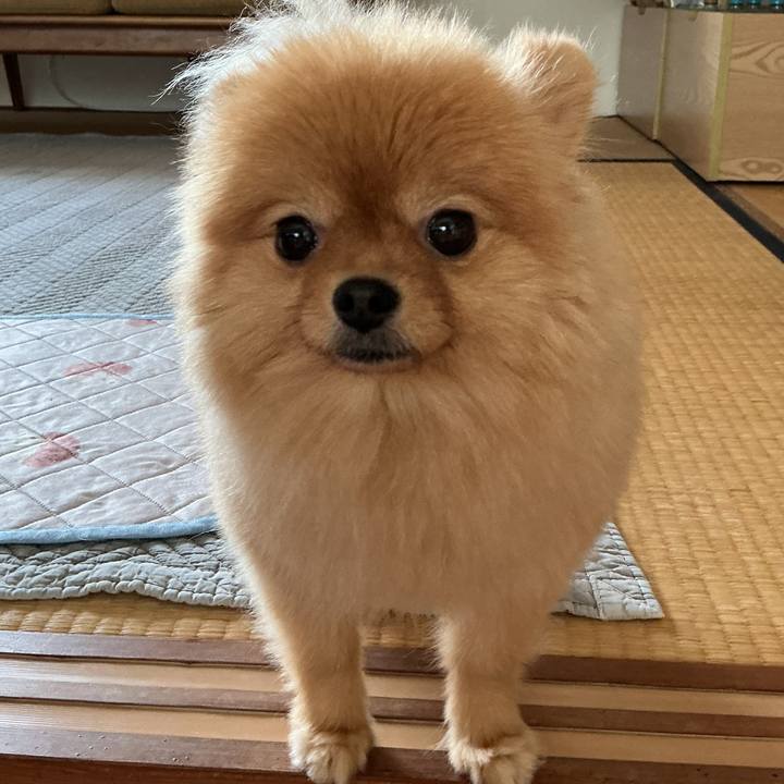 E501336c 8ce5 4f5c b00b 1a91acf89a10 1755173639097