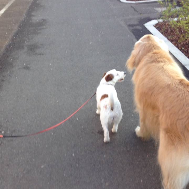 E5013cbf 8f51 49b2 9195 af24898a70e1 1531181107174