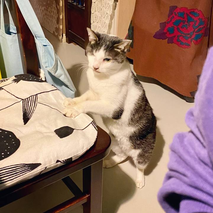 E5016c04 6cb9 42a2 a212 adbea5b93711 1607948145417