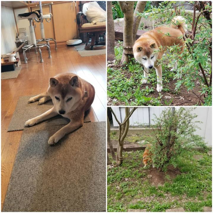 E5017b55 4f09 488a 902a 3c08fbeb3493 1745449314634