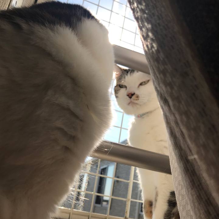 E5017c9d f97e 4baa bea2 4b60b0726fae 1587874088028