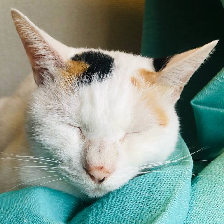 E501addf cfff 4eb9 823f 83cf52e8a37b 1760769631104