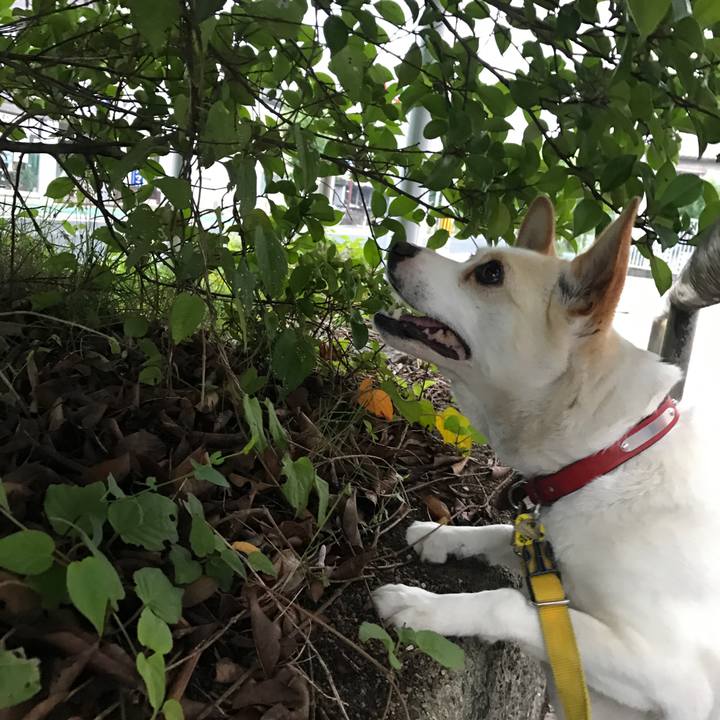 E501e78a 1181 4ea5 b1bf b8c584e51949 1562211875380