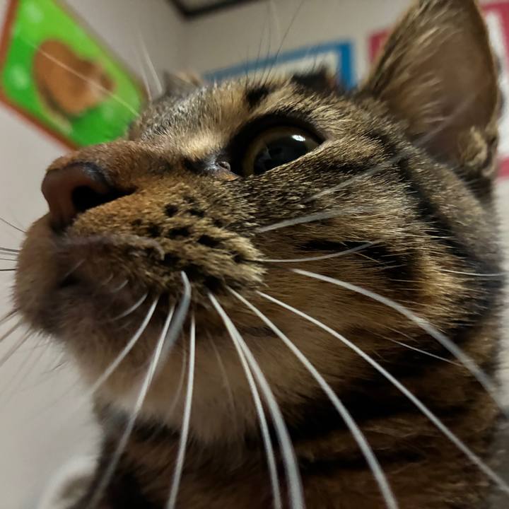 E501f013 d983 4fc1 b2c0 0104e8ed1289 1764372692005