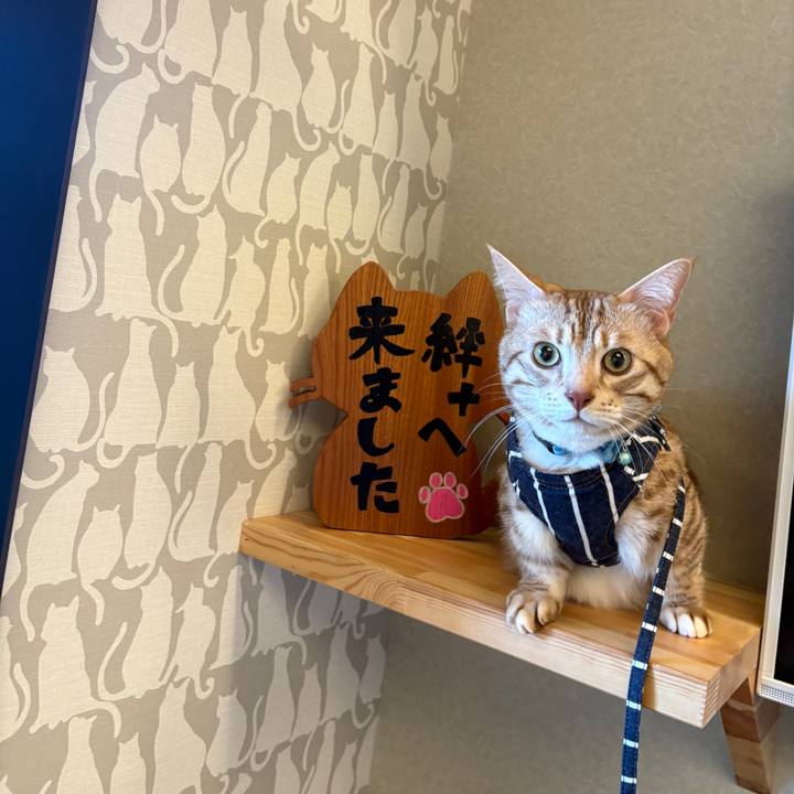 E501f222 ad26 4b46 8837 e6ad1712ca15 1740439783274