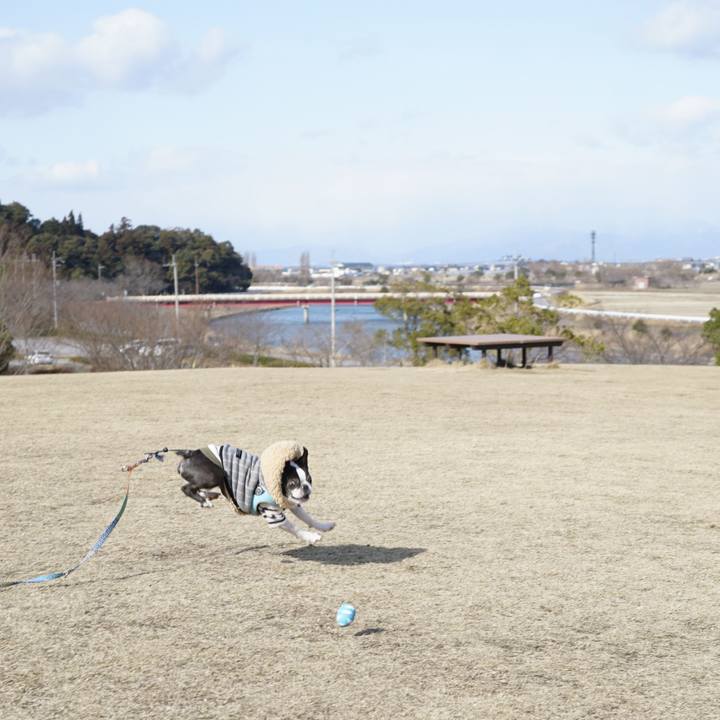 E5022b6a efd1 4c87 9c92 1e220b372682 1518954511743