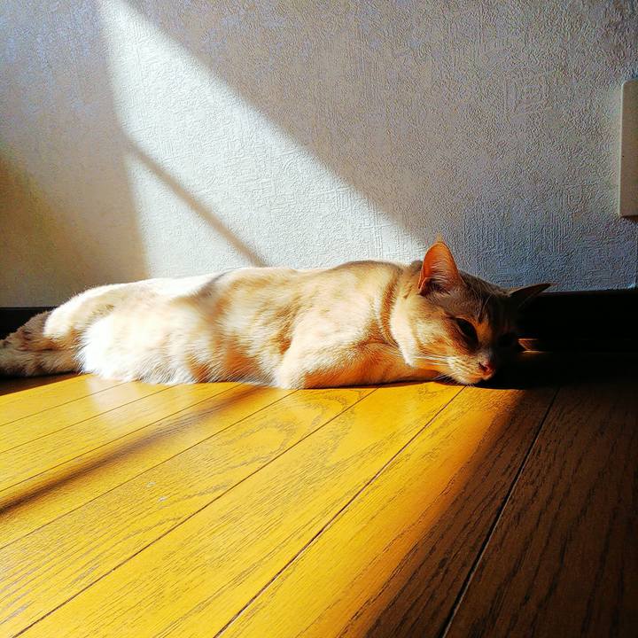 E502427b 44d8 41a0 bc61 d33c299a0f95 1584246352143