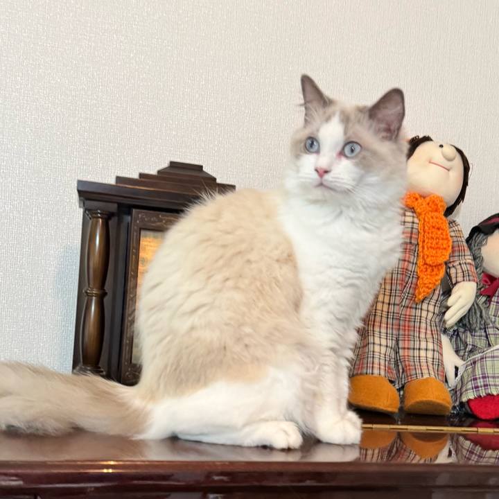 E502445e edff 4453 afea d78adf00b210 1749729515777