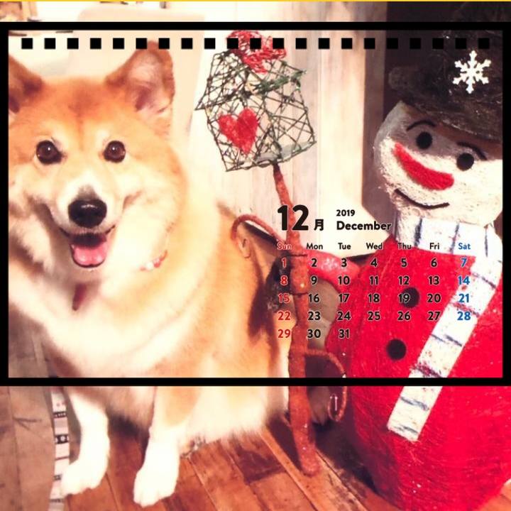 E5024c2e bf46 4ef6 9a5e 6da749bcc0fa 1542622932600