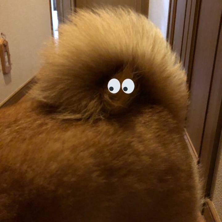 E502627a 623c 4f71 b3c5 a118e2f4e1b2 1591343772592