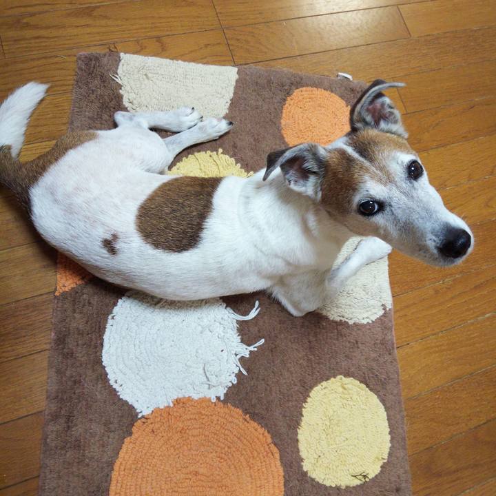 E5026dd2 a922 49c0 9843 29c22d0d93af 1562797543573