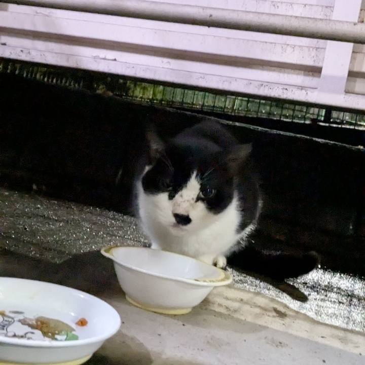 E5027005 30e4 4be9 8316 170932005d0e 1761401680560