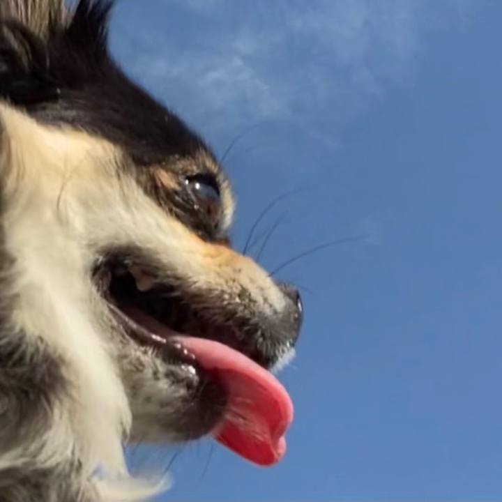 E5028e14 cc9b 4652 95fd 76a6b2f73b79 1624534250276