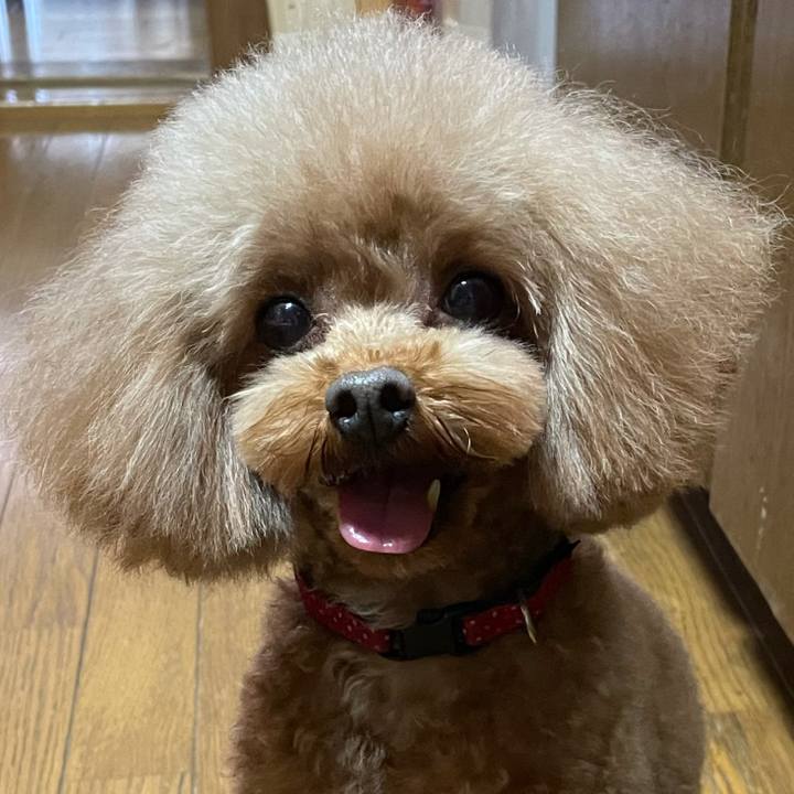 E5029d02 d3fe 41ab b867 d4c2c55d7f59 1637383912108