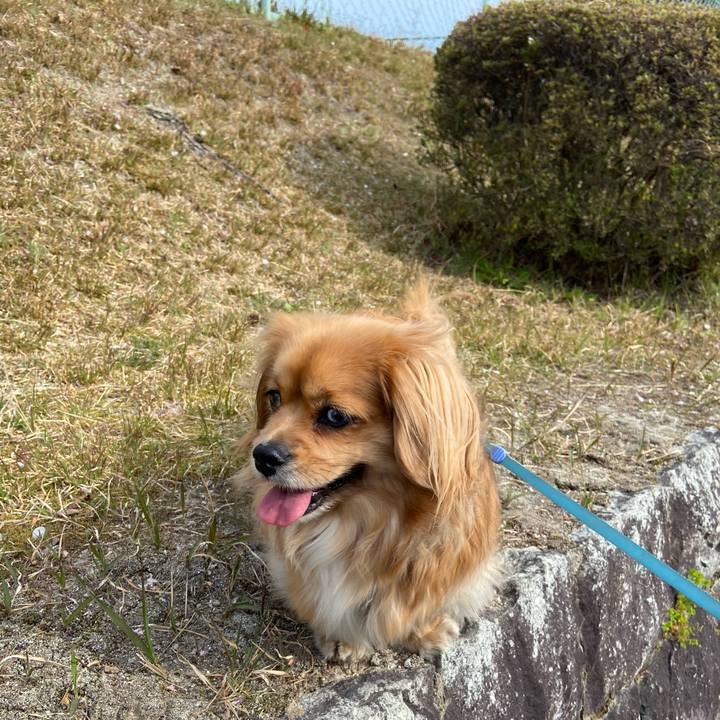 E502accf 7e48 4107 8e18 7affeb0f91ec 1586649739497