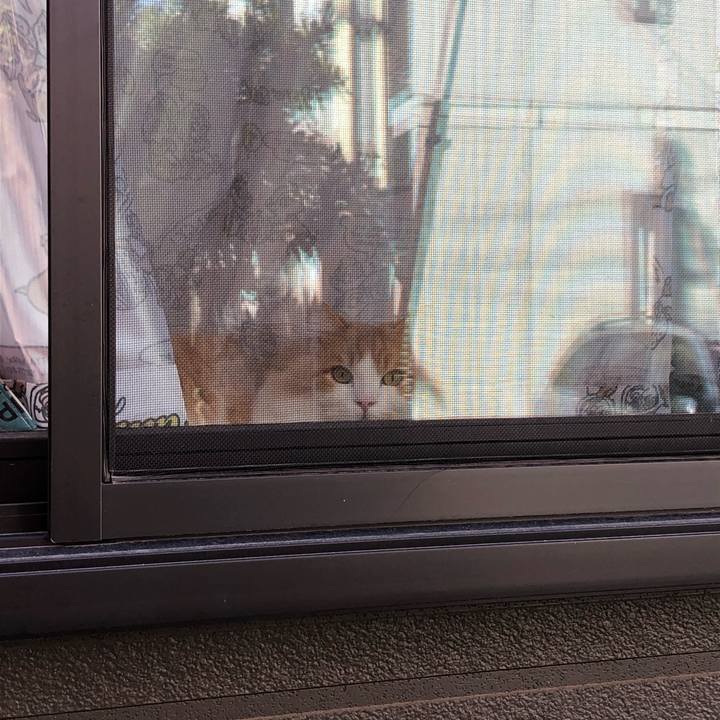 E502c071 c473 4ec4 960c 0efd41f6797e 1589718854719