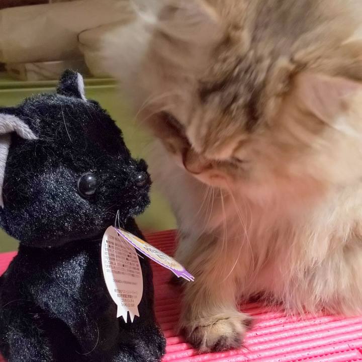 E502e4b8 d4e8 4acc a22c 60d1adfe2352 1600868002507