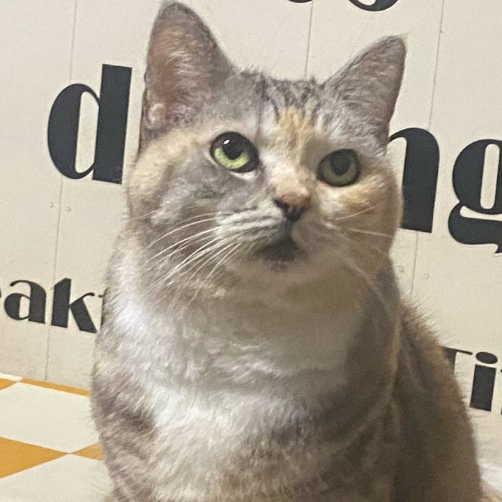 E502f300 e69d 47d2 aa80 bd2046dd9afd 1728656608857