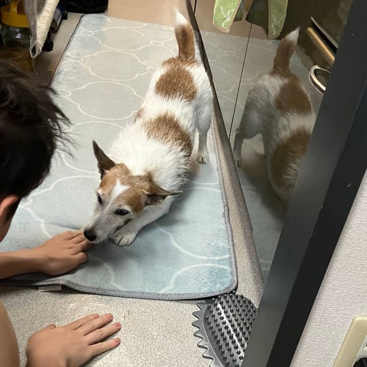 E503107e 9ff3 4d63 90f9 a3d6abfa2360 1726788117351