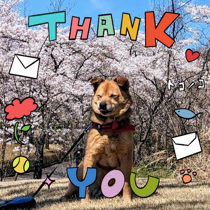 E50327ea 6bd3 43f8 a803 46a8f7c42e40 1715520881914