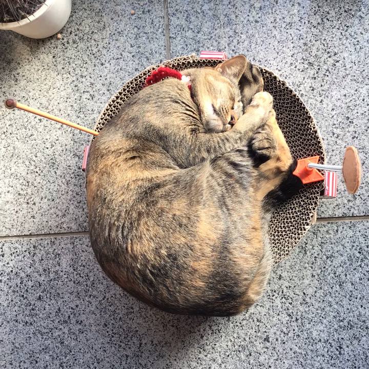 E5034005 92ce 462b bb60 b83bb88115ff 1613889022847