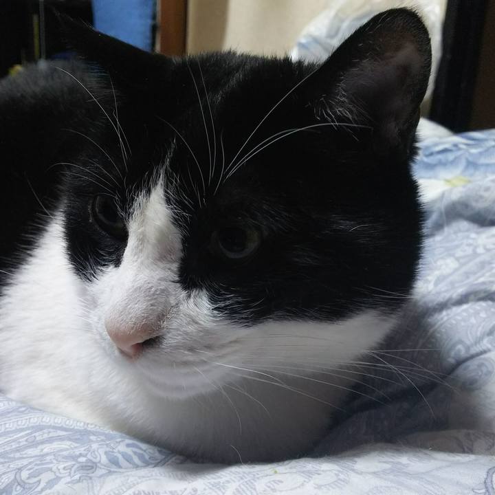 E5035757 c26e 4828 905e bc4ff5f51950 1544651312594