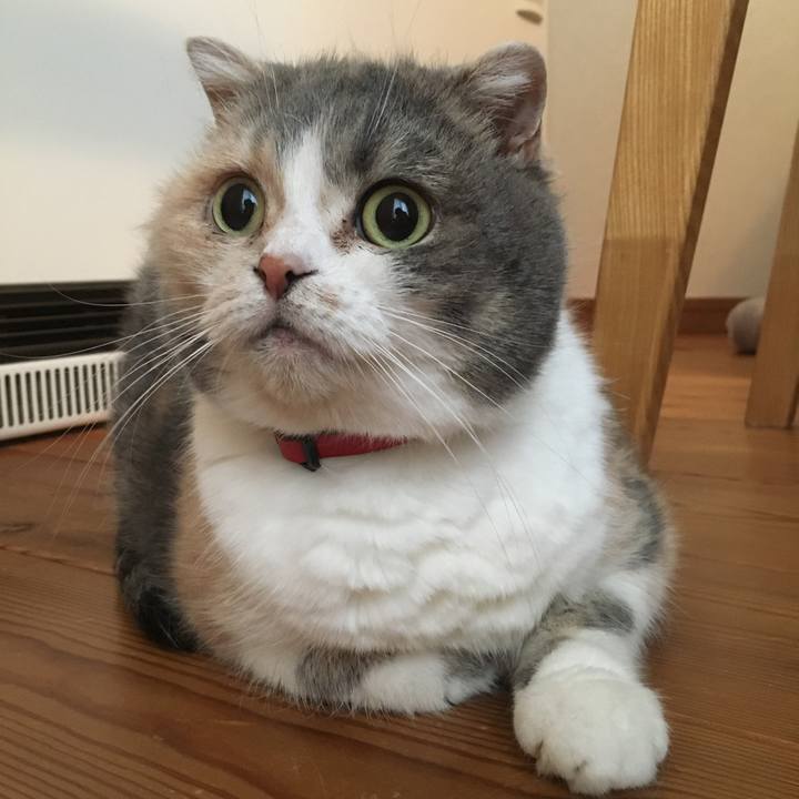 E5037a9f c2b4 4afb 9f4e f1b801d9c358 1582332722530