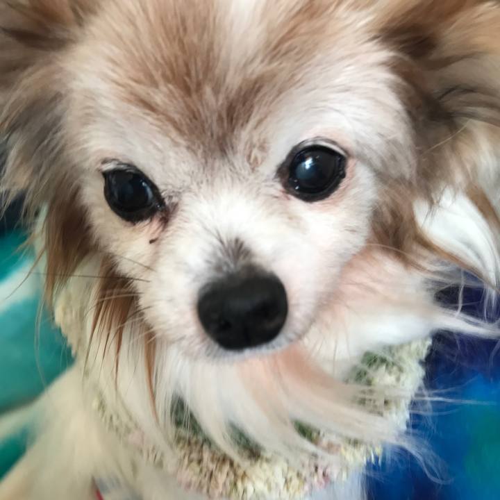 E503893a 099d 4ba8 afaa adf69e5cf40d 1525393697945