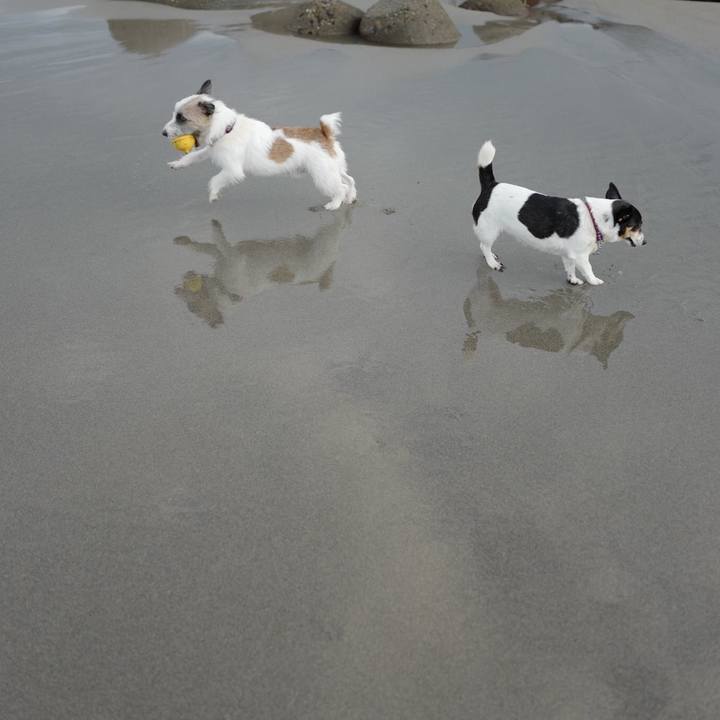 E503b055 eeb5 4566 a1b6 3429730cfdec 1508817542660