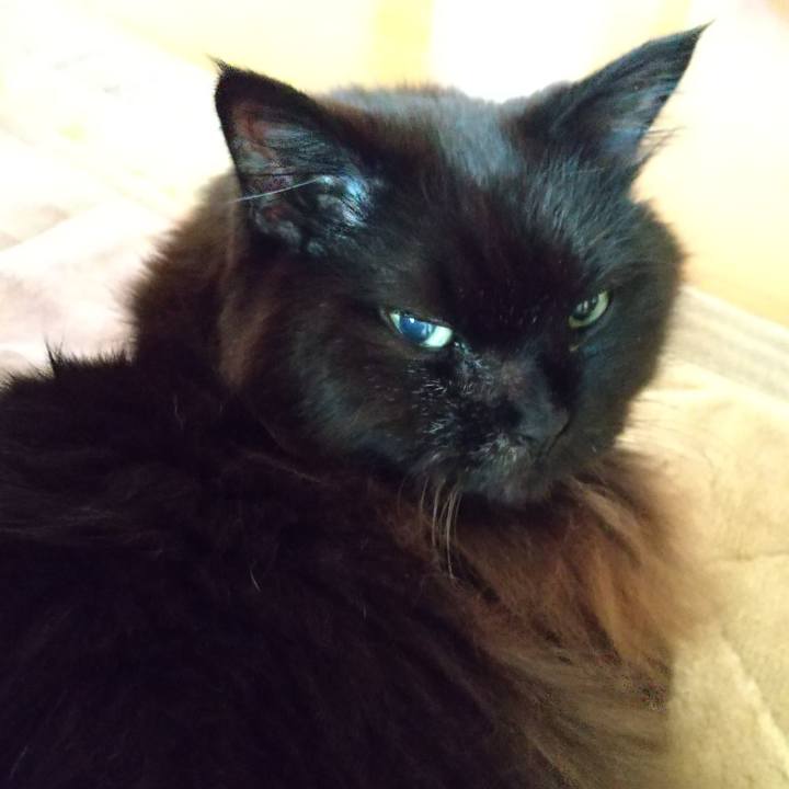 E503b4d1 86f0 4b27 b144 a16e21b82e0b 1670971340592