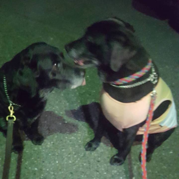 E503ca6e fe5d 422a afbb e08d9a524a45 1561617765530