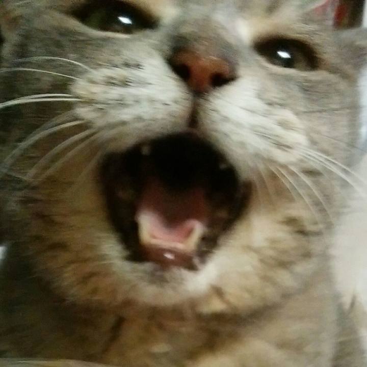 E503d7ae 1a86 4386 8034 90c3983c8a7f 1598085742401