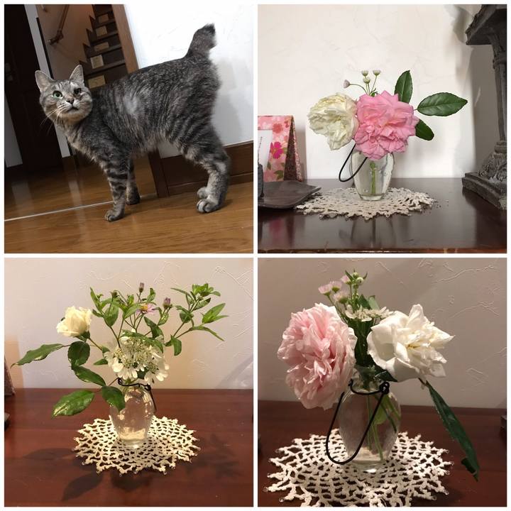 E503e9f1 d843 4872 b0cf ea96d89b8d02 1558525355537