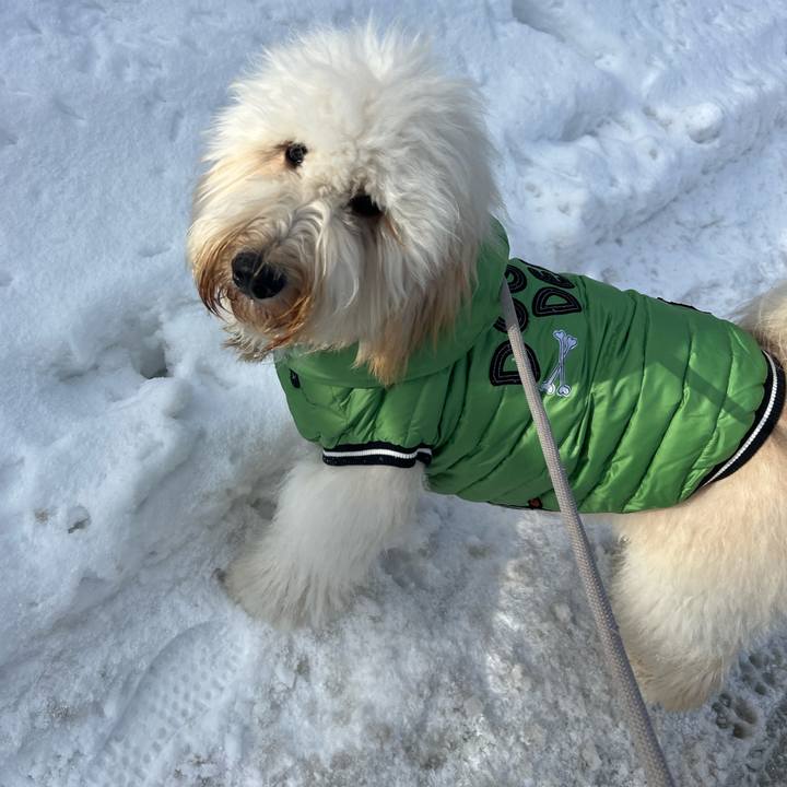 E504292e facd 48ad 8932 bf83237a7356 1736232943830